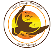 NV Logo